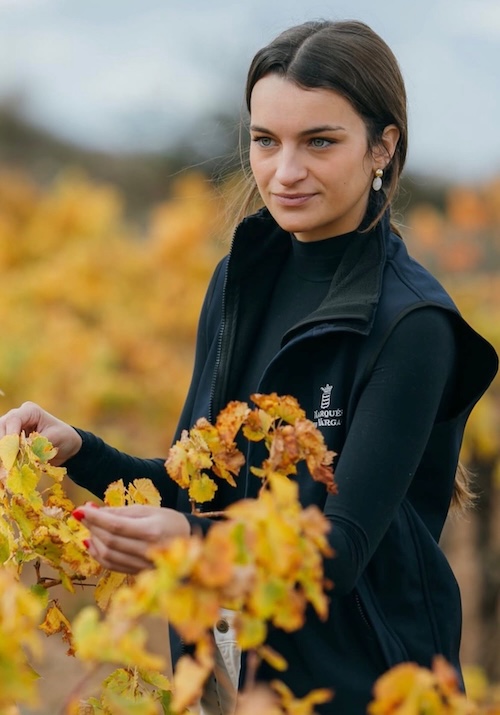 VIÑEDOS VIVOS : CUBIERTAS VEGETALES EN MARQUES DE VARGAS - LA RIOJA