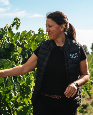 DE LA NOCHE A LA MAÑANA. Vendimia 2025 PENEDÈS